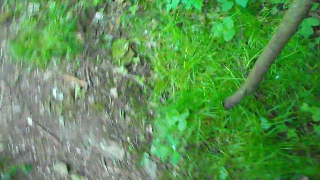 in libelle wandelen