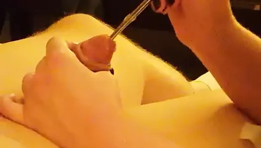 女王批准的上传