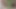 Amateur Desi Pussy Play with Cucumber: Oiled Fingering & Riding Insertion