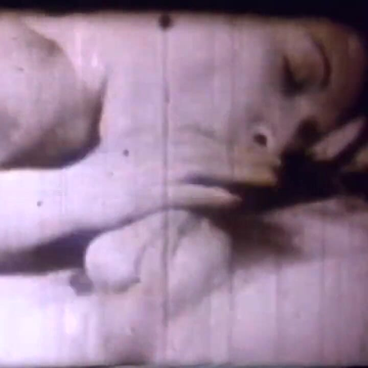 Original vintage sex scene - Hulahula Mexican!