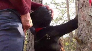 Atado a un árbol, enmascarado y atado al aire libre con garganta profunda