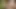 Wir haben einen privaten Ort im Wald gefunden, um riskanten Outdoor-Spaß zu haben (Doggy & POV)