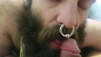 Un ours barbu sent et suce une bite