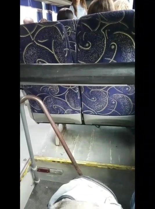 Dik