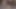 Beginner porn video – feeding femdom