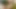 VRHUSH Naughty mature Nina Hartley begging to be fucked