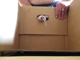 Abspritzen in einer Box