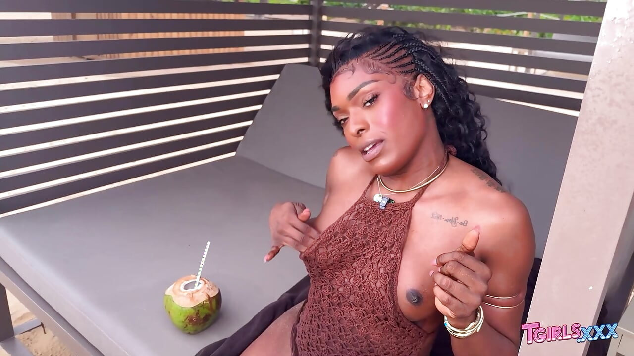 As Tuas Estrelas Trans Favoritas - Do Calor Solo ao Hardcore Total