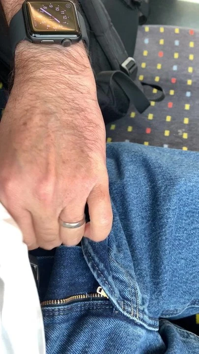 The train of the pleasure 1