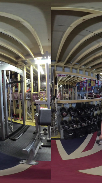 Lisa Cross - VR 2