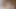 Venus Lux Johnny'nin üstüne çıkıyor