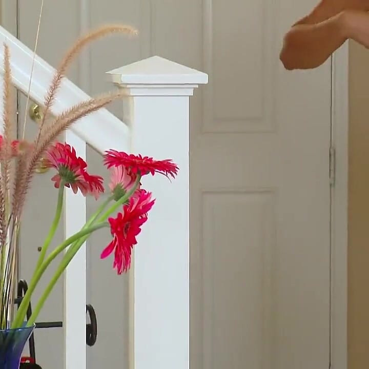 Natasha