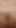 Daisy Fox ve Sahara Skye ve Chanel Camryn ve Maria Anjel ve Reyna Delacruz ve Bailey Base
