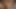 Tanya tate und jordan kingsley taken auf ein riesig schwanz