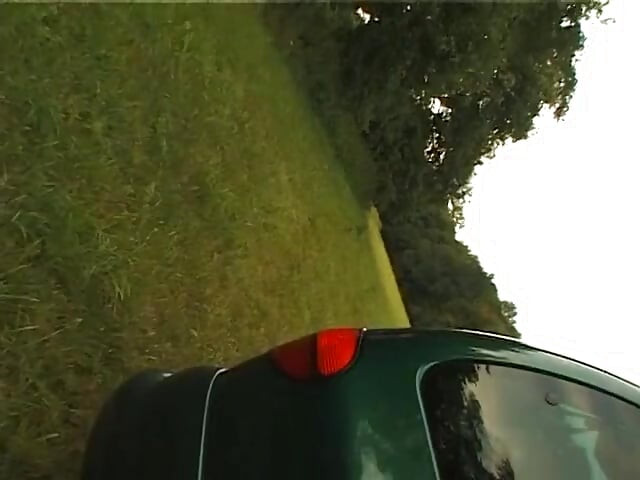 Granny sucks a chunky cock then gets fucked in the bushes