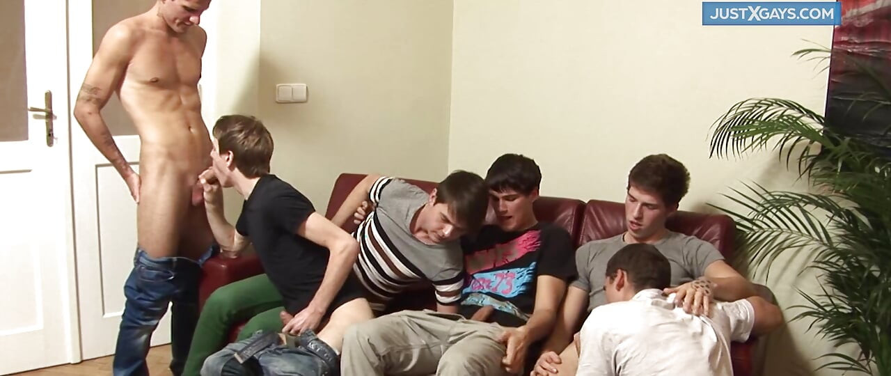 Pesta seks gay - pesta seks gay