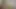BBW granny sucking cock and gets fucked until cumshot