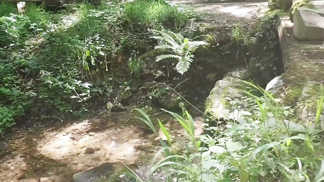 Ich Liebe Es, in Der Natur Gefickt Zu Werden