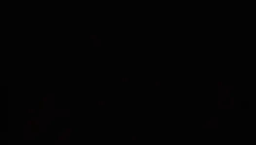 Black and white fucking foursome party