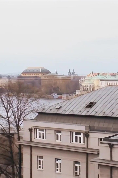 Eine befriedigte Laune