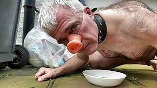 Humiliated gay pig slave eats food off the filthy ground