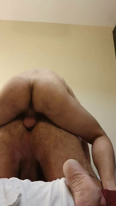 毛茸茸的屁股熊被追逐者性交