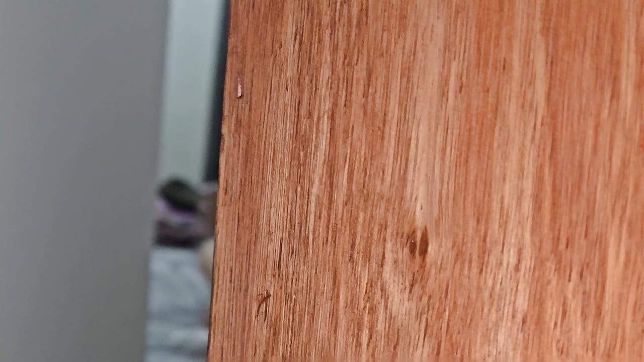 teenager enters her stepsister room to have sex after school