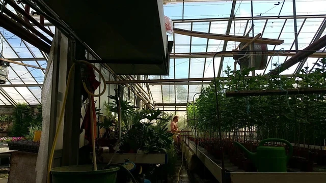 2015 September another naked watering in the work with jerki