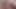 Exotic4k etnik kedi dolma tarafından çok sayıda beyaz musluklar