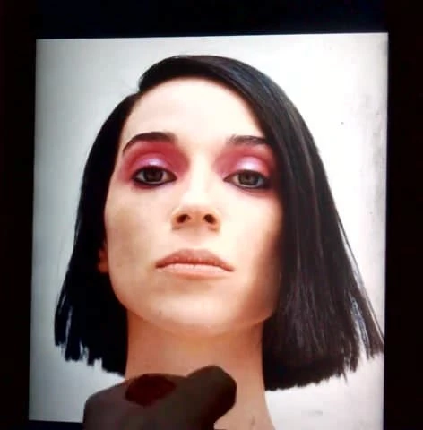 St. Vincent Tribute - I