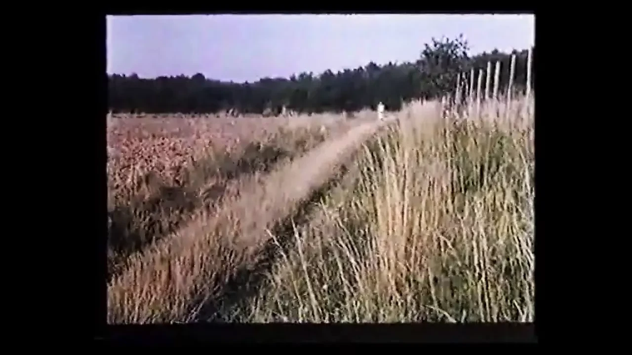 Francês, italiano e alemão, cenas lésbicas de 1979 parte 02