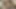Üvey kız kardeş evcilleştiriliyor anal ve vajinal dölleme - büyü kitabı yolsuzluk rotası #3 bir porno oyunu