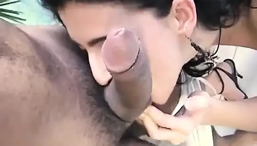 Latin için sert yarak