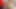 Baştan çıkarıcı sarışın Jillian Janson iş arkadaşına vahşi tarafını gösteriyor