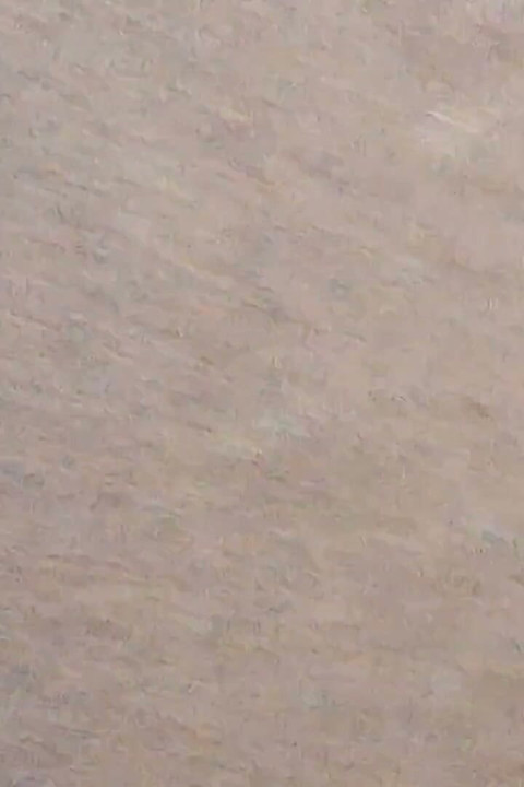 Fuck Me Doggy Style in My Asshole -1