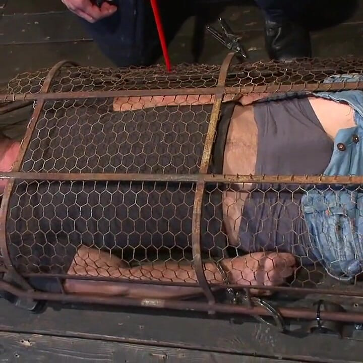 Powerless and Caged Like an Animal