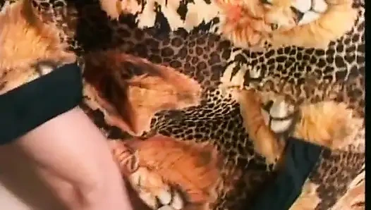 Huge boobs hairy milf on the big mature cock