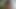 I Seduced a Stranger in the Forest and He Fucked Me in All My Holes - POV