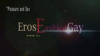 Eros Exotica Gay