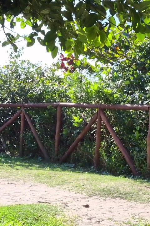 Risky Handjob for a Hot Babe in the Park!
