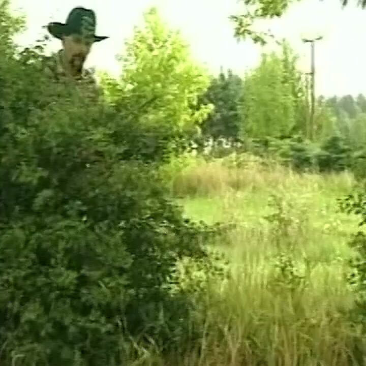 Farmer Looking for a Hole at the Meadow