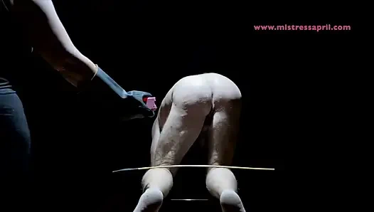 Domina herrin april - shades of hurt