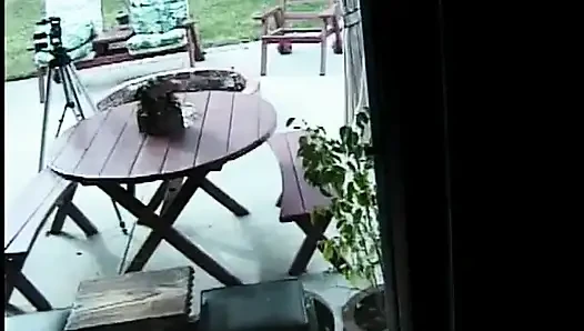 Молодые шлюхи трахают киски друг друга вибратором