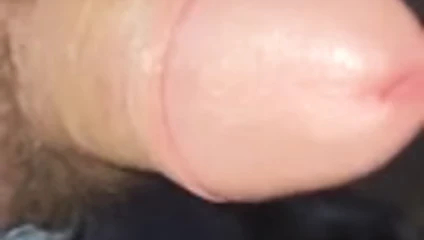 üyeler