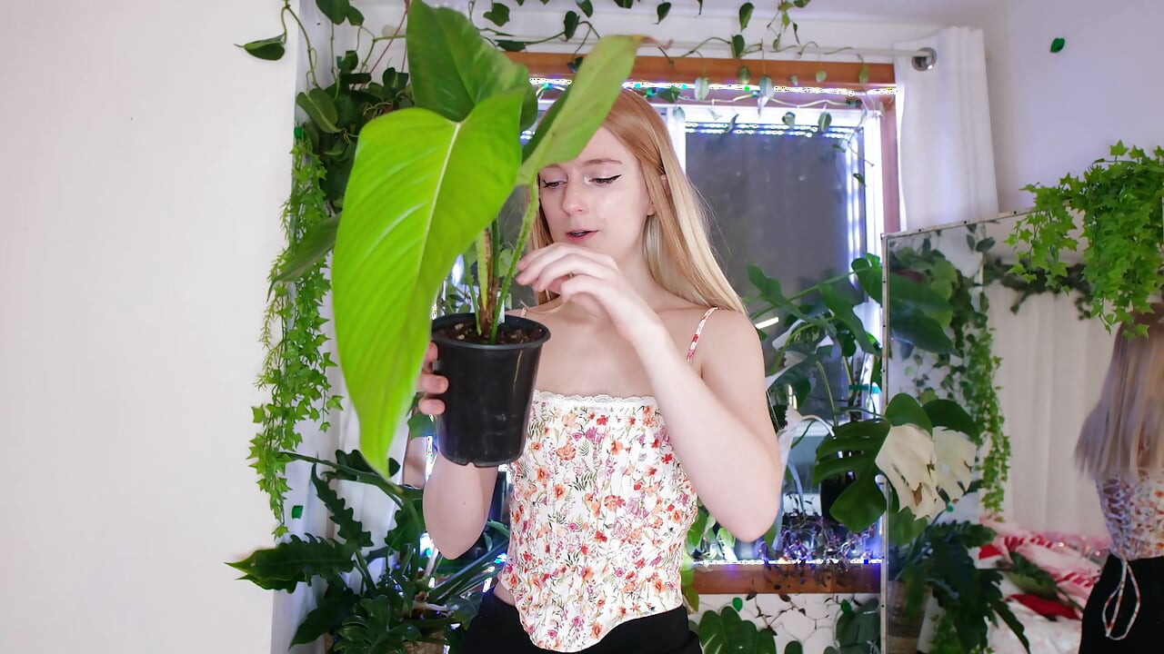 Растенията, които взех за Коледа