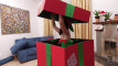 Pregled videozapisa