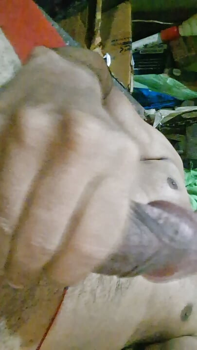 I love American &Russian white beautiful ladies with happy sex