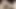 Huge cock close up intense cumshot
