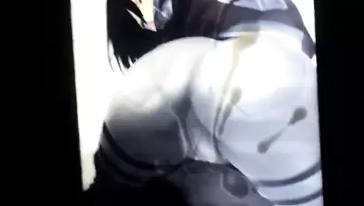 Mikasa ackerman sop