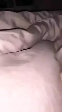 A nice cock I hope you will like it.